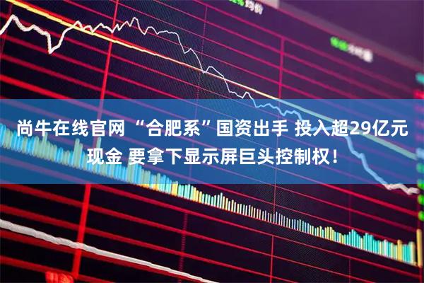 尚牛在线官网 “合肥系”国资出手 投入超29亿元现金 要拿下显示屏巨头控制权！